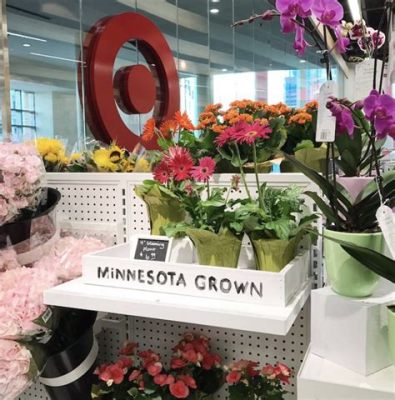 Does Target Have Flowers? - A Retail Journey into the World of Blooming Possibilities