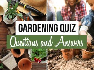 gardening trivia questions and answers: Uncovering the Intricate World of Horticulture Through Curiosity