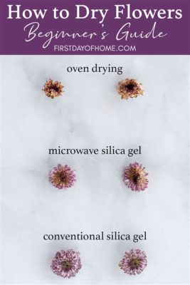 how to dry flowers quickly